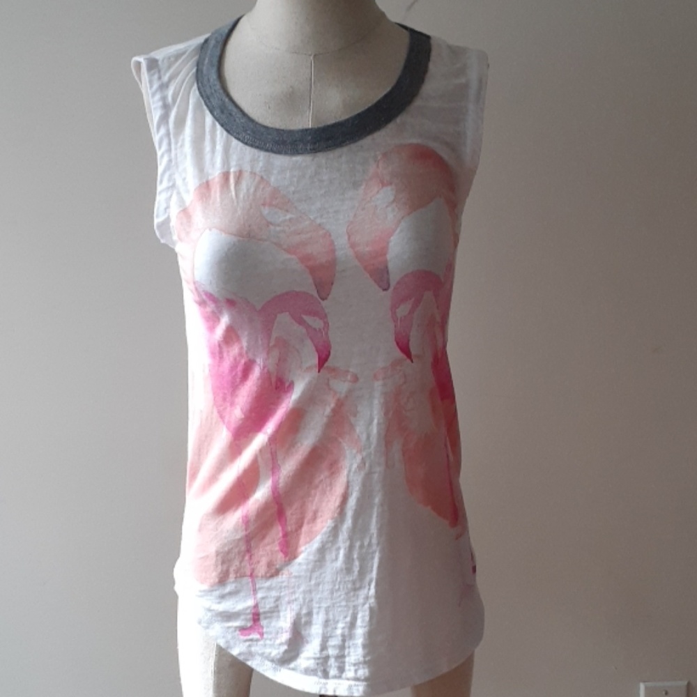 Chaser flamingos burnout small